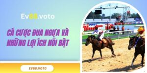 Cá cược đua ngựa và những lợi ích nổi bật