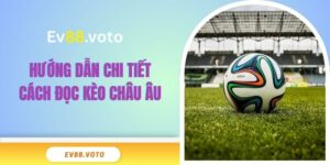 Hướng dẫn chi tiết cách đọc kèo châu Âu