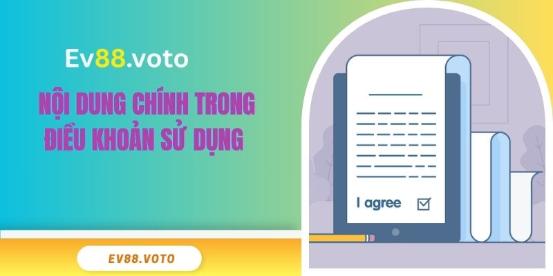 Nội dung chính trong điều khoản sử dụng 