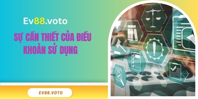 Sự cần thiết của điều khoản sử dụng  