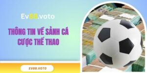 Thông tin về sảnh cá cược thể thao