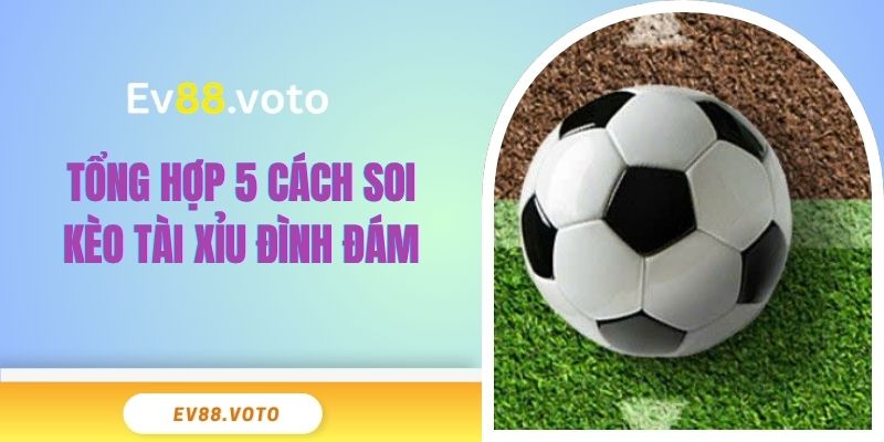 Bật Mí 5 Cách Soi Kèo Tài Xỉu Đỉnh Cao Từ Chuyên Gia 3 Tổng hợp 5 cách soi kèo tài xỉu đình đám